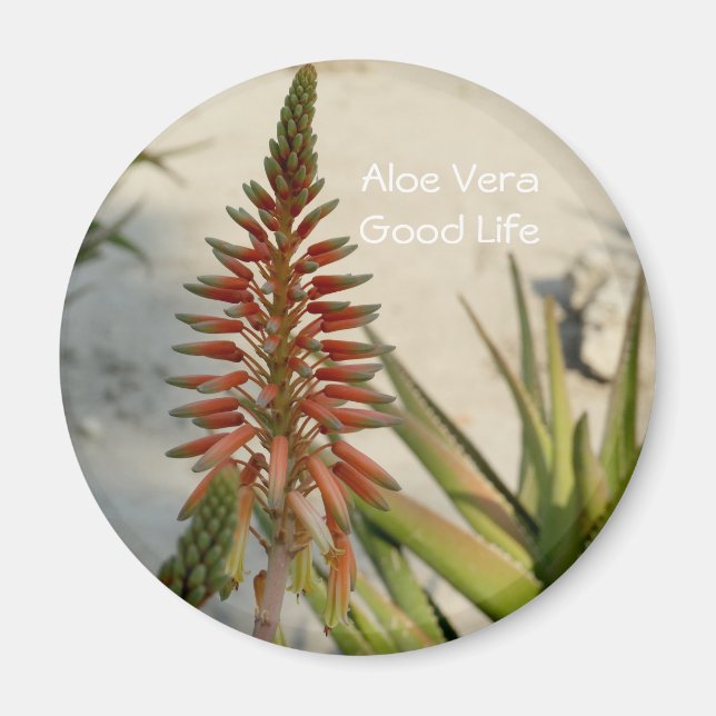 Íman Botão de flor da planta Aloe Vera (Frente)