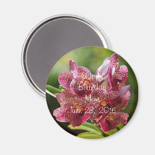 Íman Botão tropical do conjunto da orquídea de Vanda