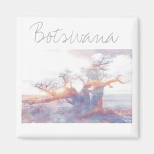 Íman Botsuana Kubu Ilha Baobab Tree Magnet