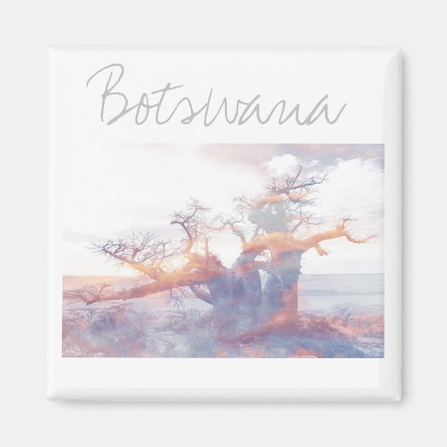 Íman Botsuana Kubu Ilha Baobab Tree Magnet (Frente)