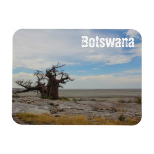 Íman Botswana Kubu Baobab Ilha Go Travel