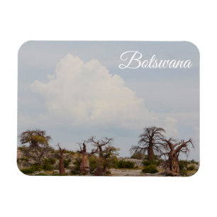 Íman Botswana Kubu Baobab Ilha Go Travel