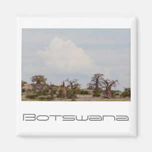 Íman Botswana Kubu Baobab Island Go Viagem