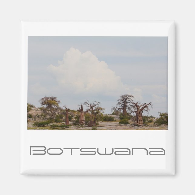 Íman Botswana Kubu Baobab Island Go Viagem (Frente)