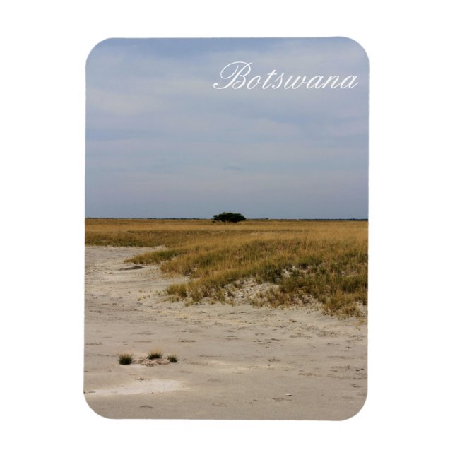 Íman Botswana Paisagem Salt Pans Savannah (Vertical)
