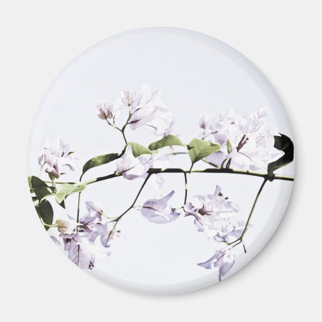 Íman Bougainvillea (Frente)