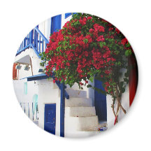 Bougainvillea crescendo fora de uma casa, Mykonos