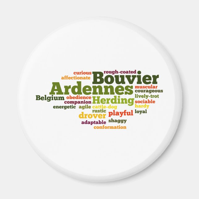 Íman Bouvier des Ardennes (Frente)