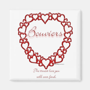 Íman Bouvier des Flandres True Love