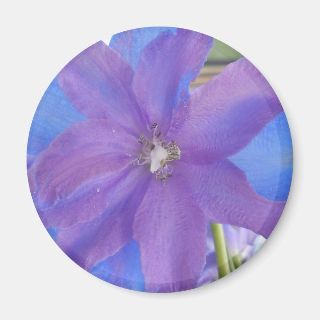 Íman Bowen (Frente)