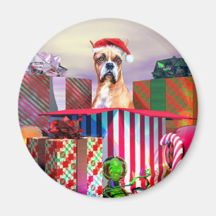 Íman Boxer Christmas Surpresa