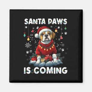 Íman Boxer Christmas Tree Lights Decortions Dog Lover