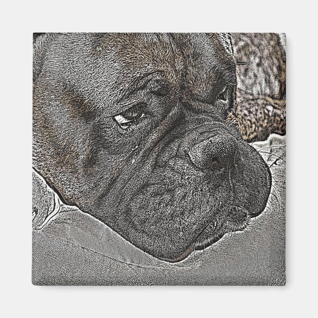 Íman Boxer Dog Magnet (Frente)