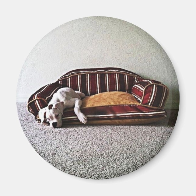 Íman Boxer Doggie Magnet (Frente)