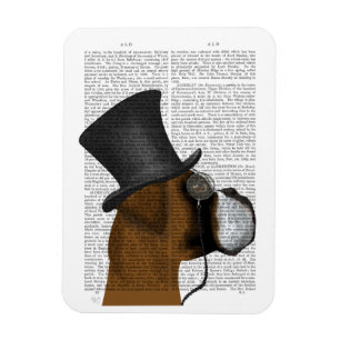 Íman Boxer, Formal Hound e Chapéu