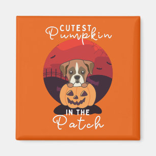 Íman Boxer In Pumpkin Dogs Pumpkin No Patch