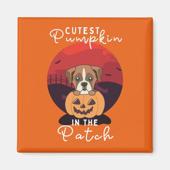 Íman Boxer In Pumpkin Dogs Pumpkin No Patch (Frente)