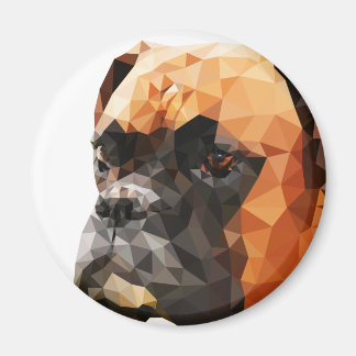 Íman Boxer Low Poly Art