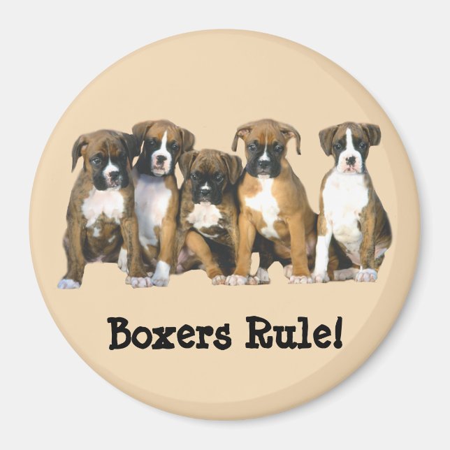 Íman Boxer Puppies Magnet (Frente)