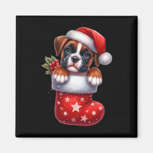 Íman Boxin Em Sock Christmas Santa Hat Xmas Dog Lover 1