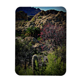 Íman Boyce Thompson Arboretum