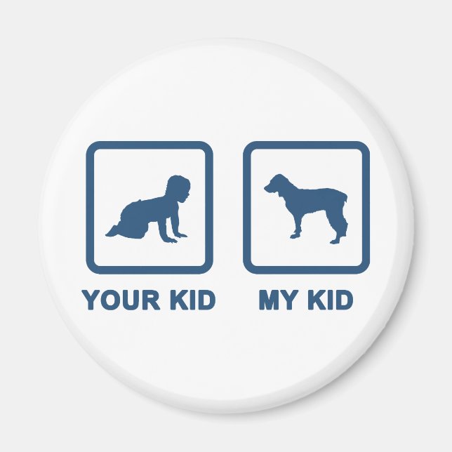 Íman Boykin Spaniel (Frente)