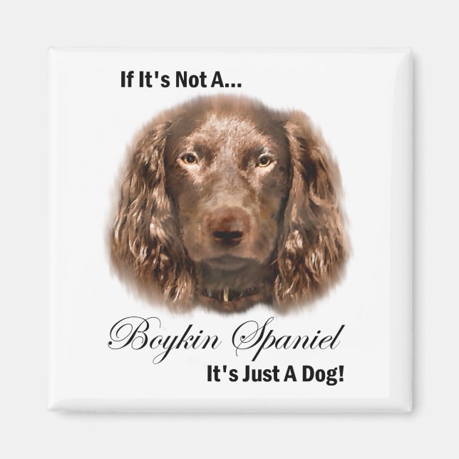 Íman Boykin Spaniel Gifts (Frente)