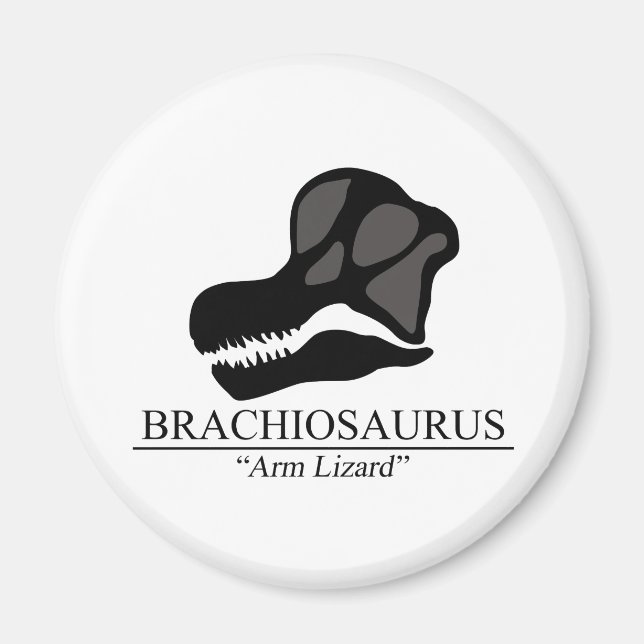 Íman Brachiosaurus Skull (Frente)