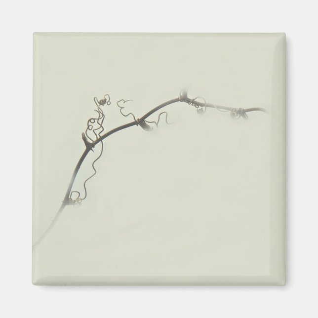 Íman Bramble Tendrils in the Fog - Minimalismo (Frente)