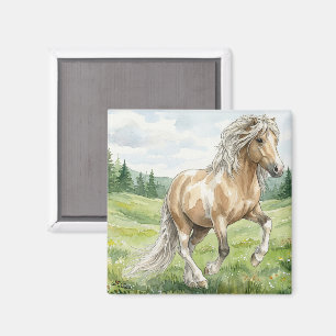 Íman Brana Pinto Palomino Aquarela Islandesa