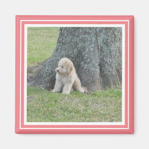 Íman Branco cor-de-rosa macio de Coral& do modelo feito