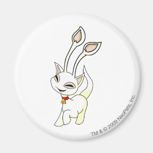 Íman Branco de Aisha