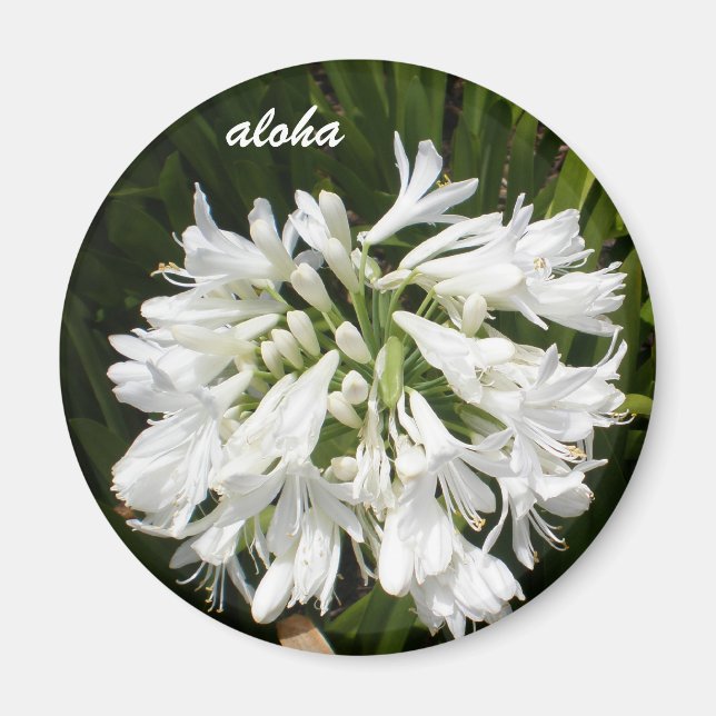 Íman branco floresce aloha (Frente)