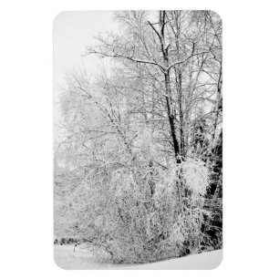Íman Brancos de inverno