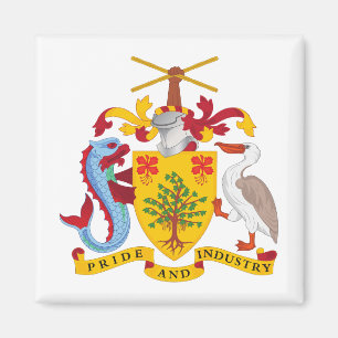 Íman brasão de armas símbolo emblema bandeira do país B
