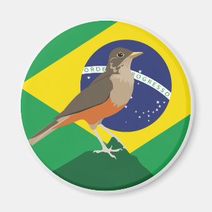 Íman Brasil brasileiro de barriga feia