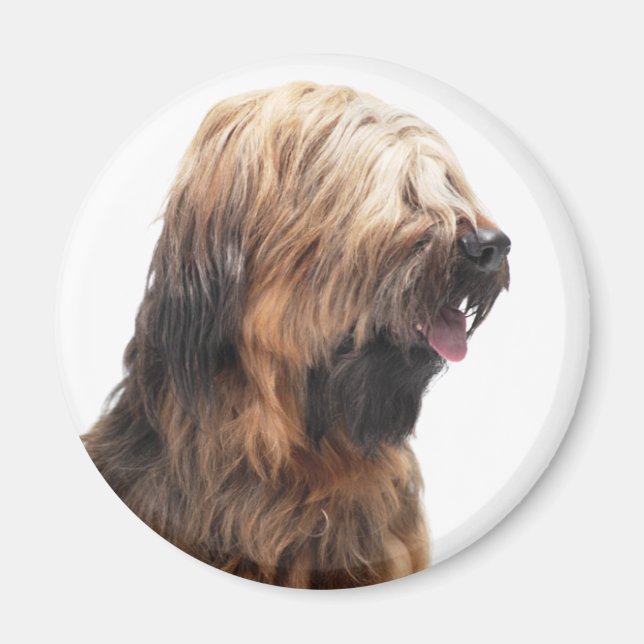 Íman Briard fauve 3 (Frente)