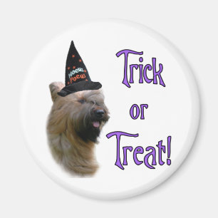 Íman Briard Trick