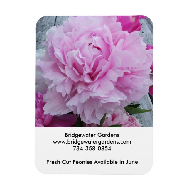 Íman Bridgewater Gardens Peonies Magnet (Vertical)