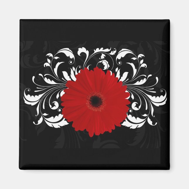 Íman Bright Red Gerbera Daisy em Preto (Frente)