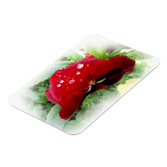 Íman Bright Red Pansy (Left Side)