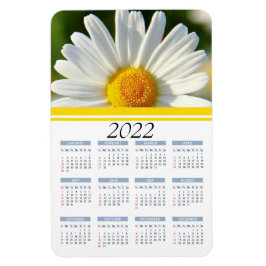 Íman Bright Shasta Daisy | 2022 Íman Calendário Floral