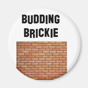 Íman brikkie de brotamento