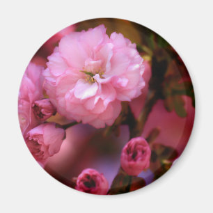 Íman Brilhantes Primavera cor-de-rosa de cereja