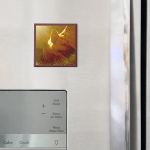 Íman Brilhar no meu German shepherd nº 1