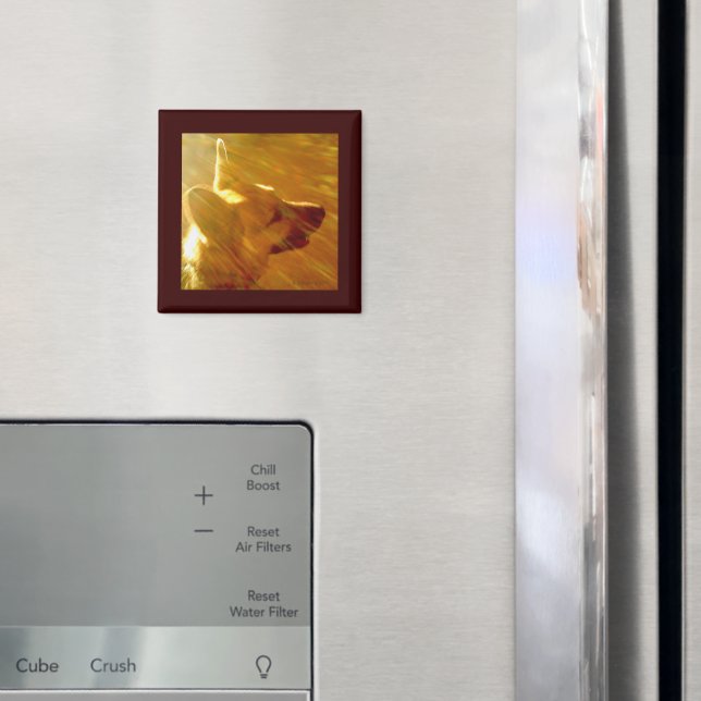 Íman Brilhar no meu German shepherd nº 2 (In Situ (Fridge))