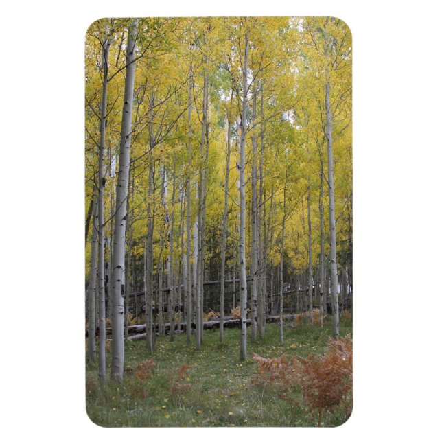 Íman Brilho amarelo do Aspen (Vertical)
