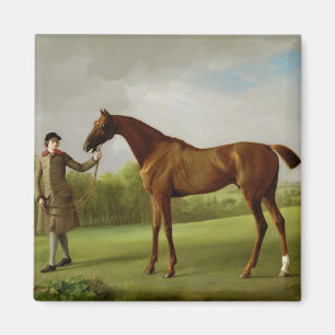 Íman Brilho de George Stubbs , guardarado por um