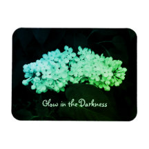 Brilho na Escuridão Lilases Verdes Alterados Foto