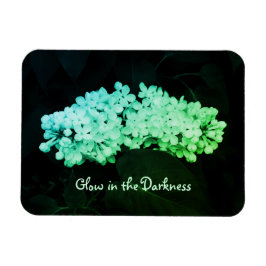 Íman Brilho na Escuridão Lilases Verdes Alterados Foto